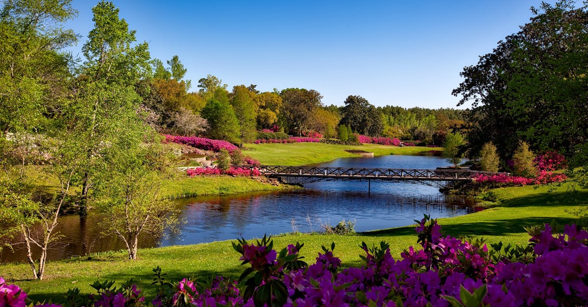 bellingrath-gardens-alabama-landscape-scenic-158063-158063.jpg